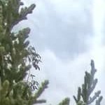 ویلافلت مدرن نوساز با امکانات لوکس در خشکبیجار