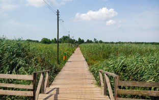 پل چ.بی کیاشهر