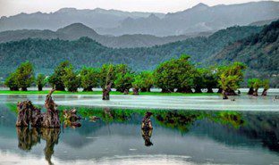 خرید زمین مسکونی سیاهکل