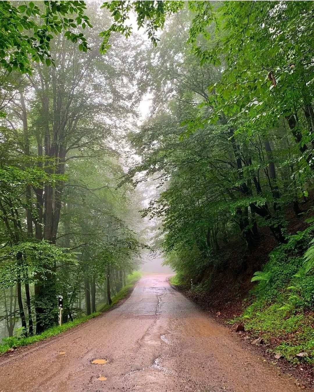 بلوردکان زیبا
