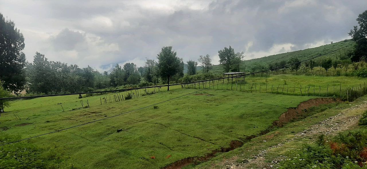 ویلا دوبلکس لاکچری 220 متری ویو ابدی جنگلی سیاهکل