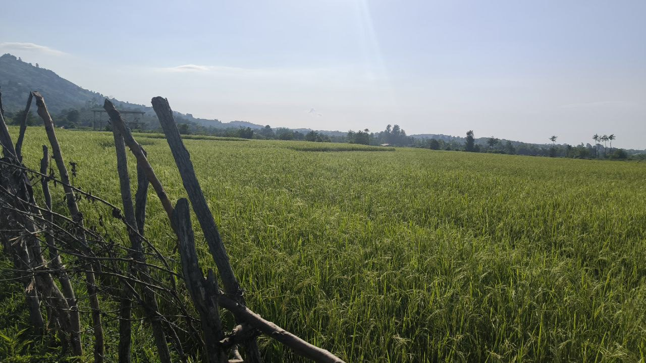 زمین مسکونی با قابلیت ساخت در روستای ازبرم