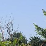 زمین مسکونی 552 متری در روستای ازبرم