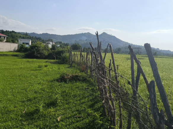 زمین مسکونی 613 متری در روستای ازبرم