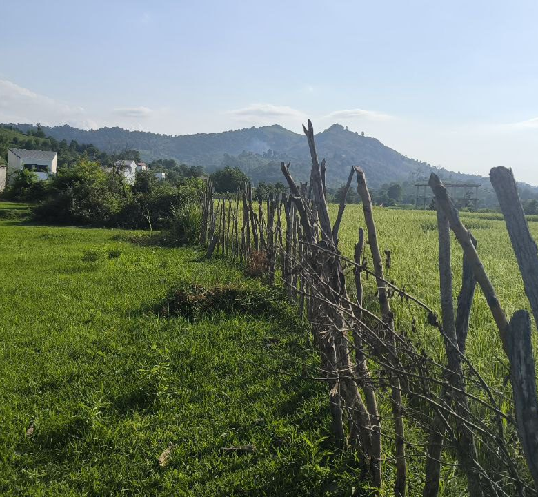 زمین مسکونی 613 متری در روستای ازبرم