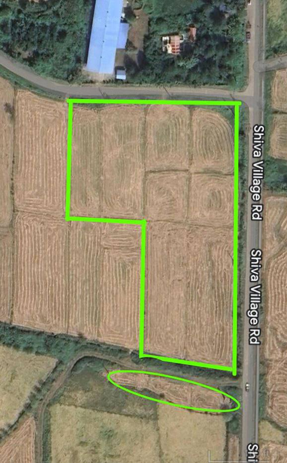 زمین شالیزار 1 هکتاری با چاه نیمه‌عمیق سیاهکل