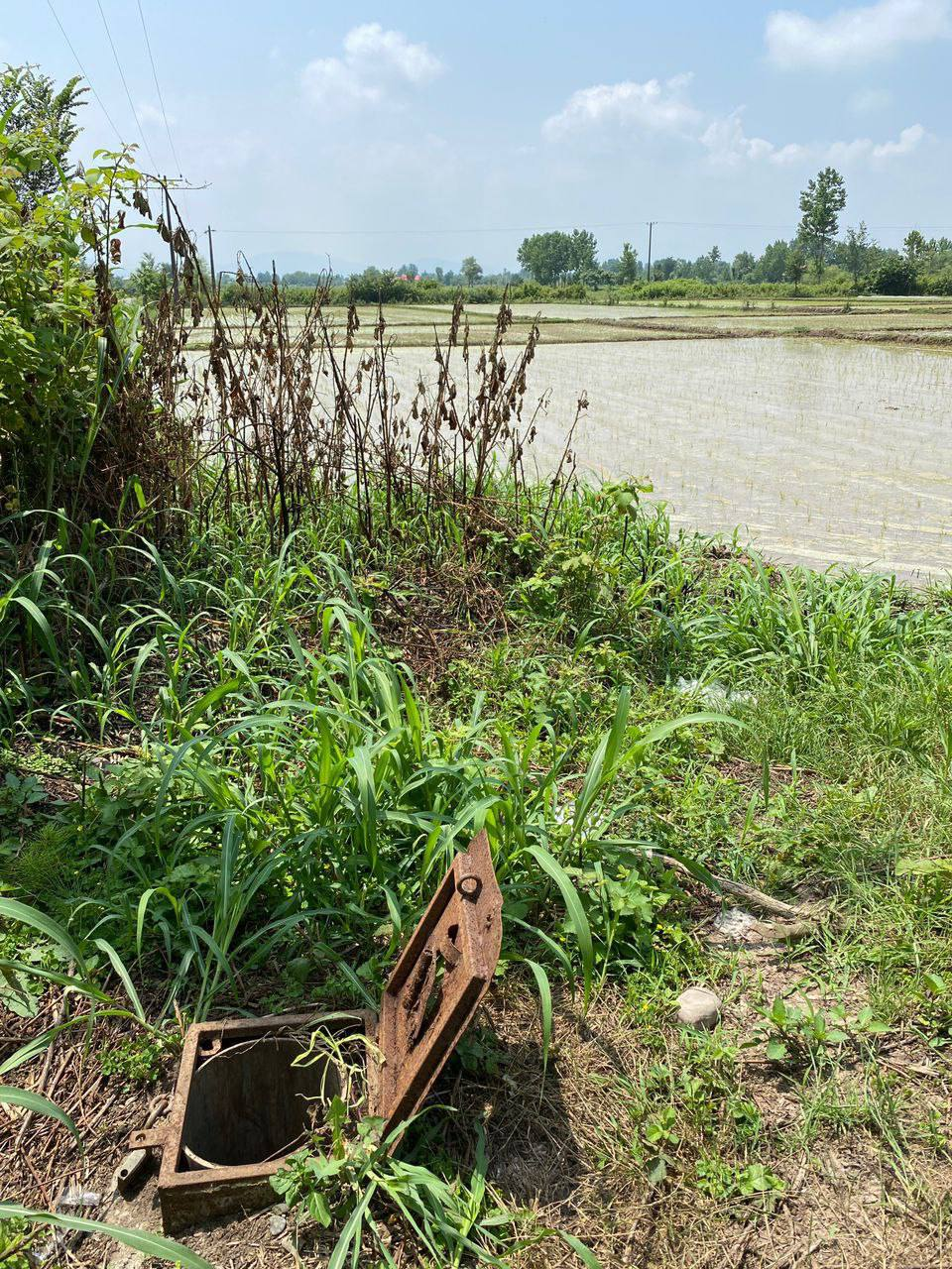 زمین شالیزار 1 هکتاری با چاه نیمه‌عمیق سیاهکل