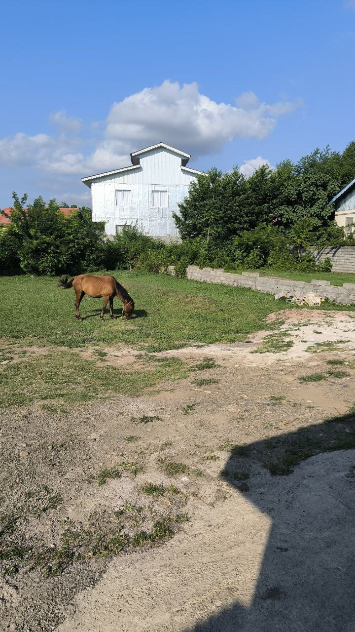 زمین مسکونی با قابلیت ساخت در روستای ازبرم